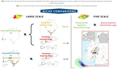 Editorial: The ecological niche at different spatial scales